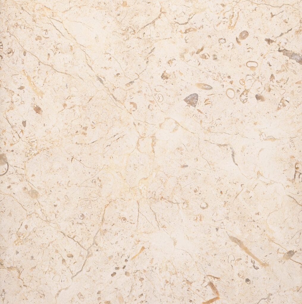 Jerusalem Stone Ancient Earth - Polished
