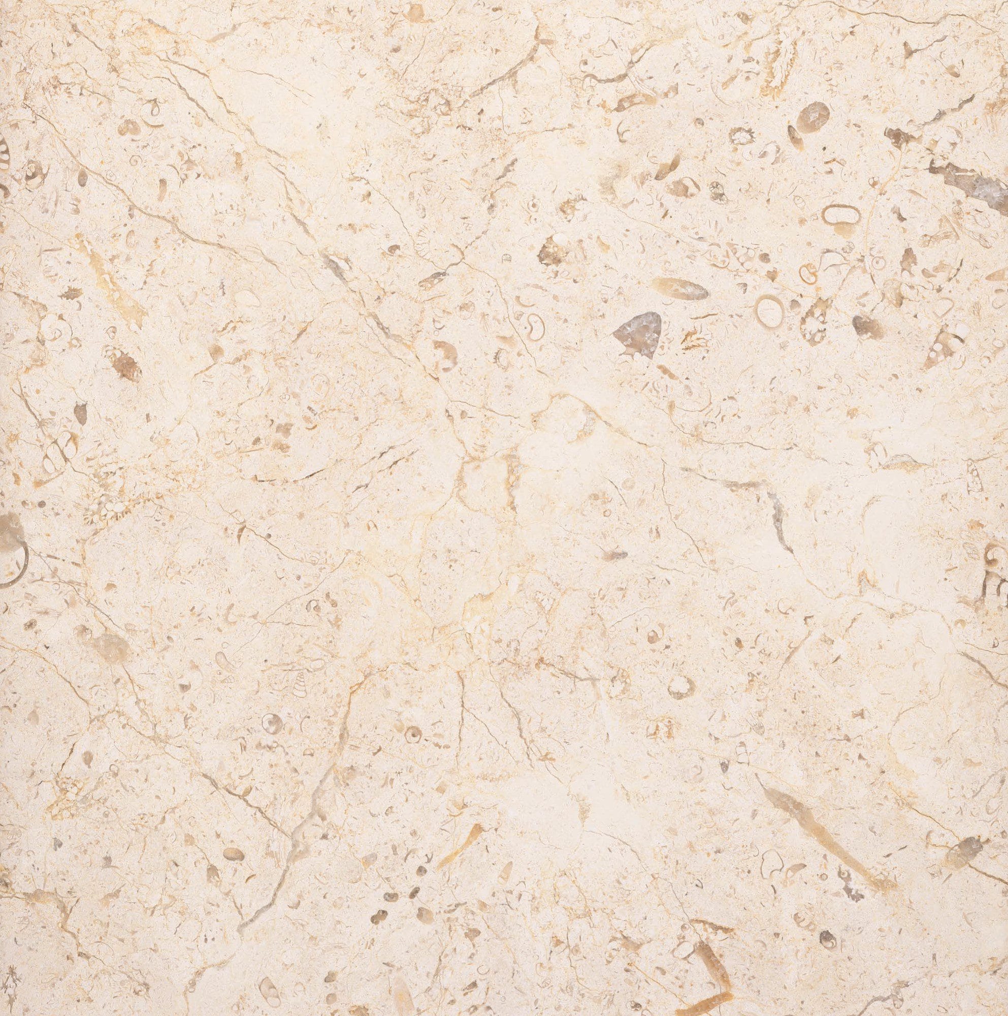 Jerusalem Stone Ancient Earth - Polished